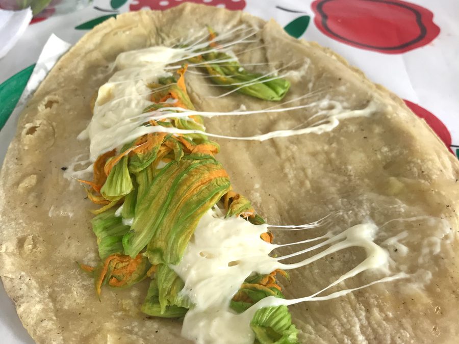 Quesadilla de flor de calabaza