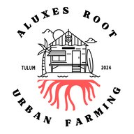 Logotipo de Aluxes Root