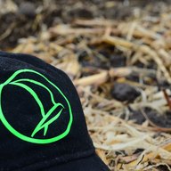 Logotipo de Falcon Seeds