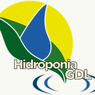 Logotipo de Hidroponia GDL