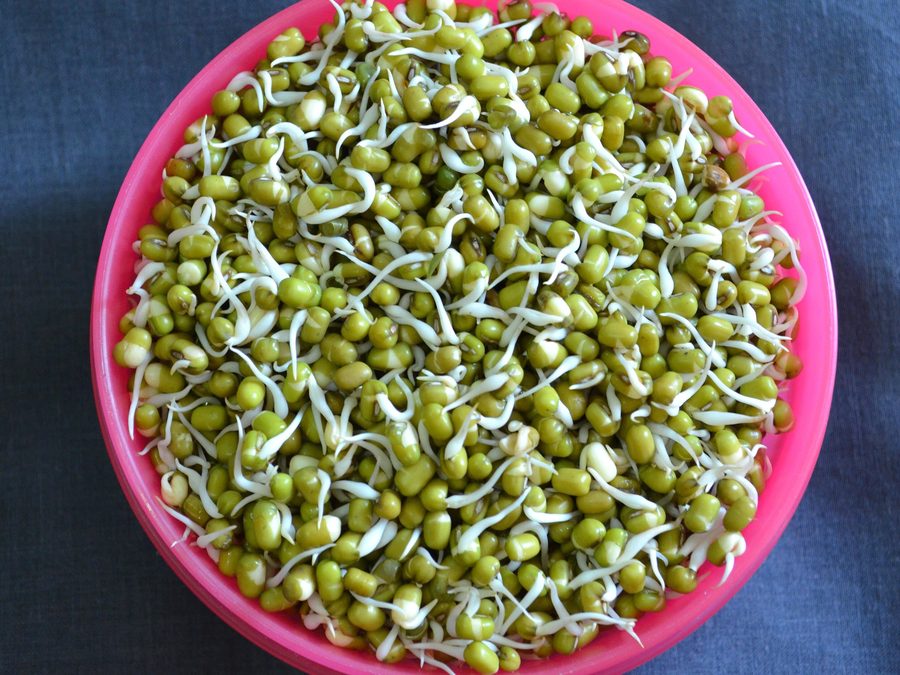 Brotes jóvenes de frijol mungo, blancos y cortos, en un recipiente